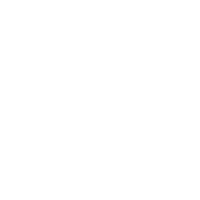 Navigation Camera Icon